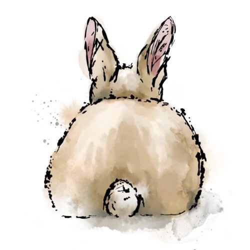 Brown Little Cottontail