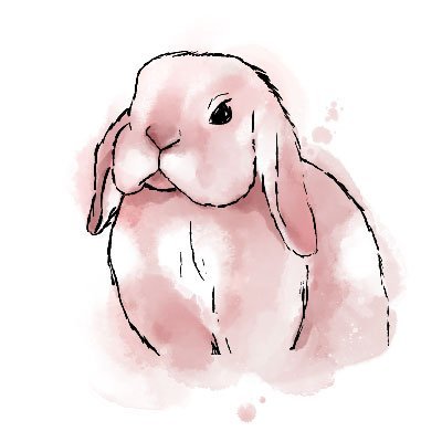 Pink Hoppy Lop